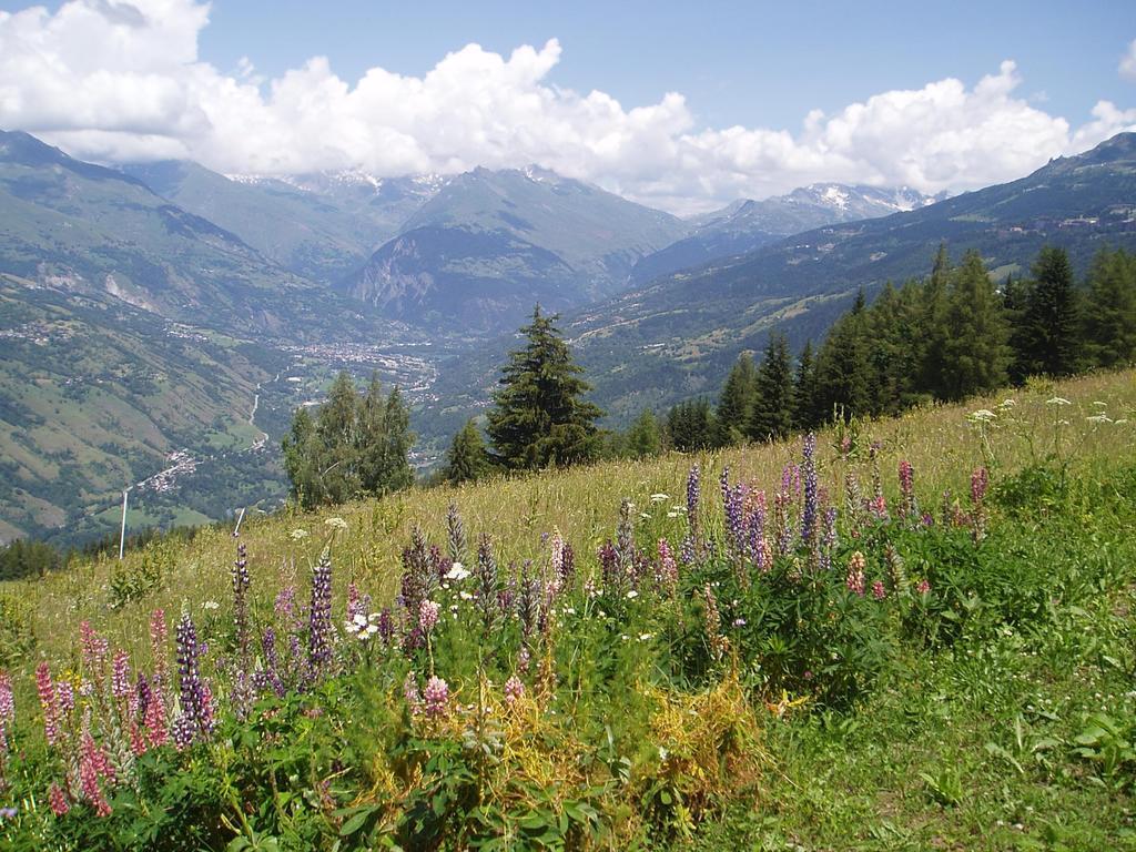 Chalet Les Gentianes La Plagne Bagian luar foto
